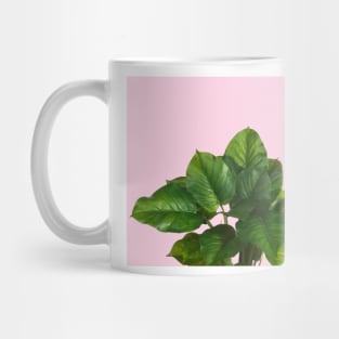 Lush green leaves on textured blush Mug